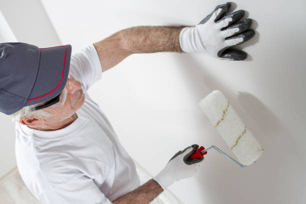 Best Mold Removal for HVAC Installations  in Bay, AR