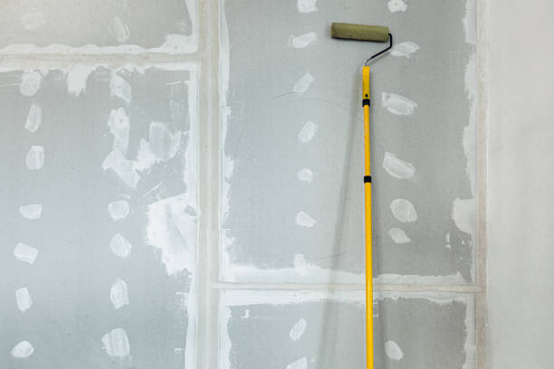Best Asbestos and Lead Testing During Mold Inspection  in Bay, AR