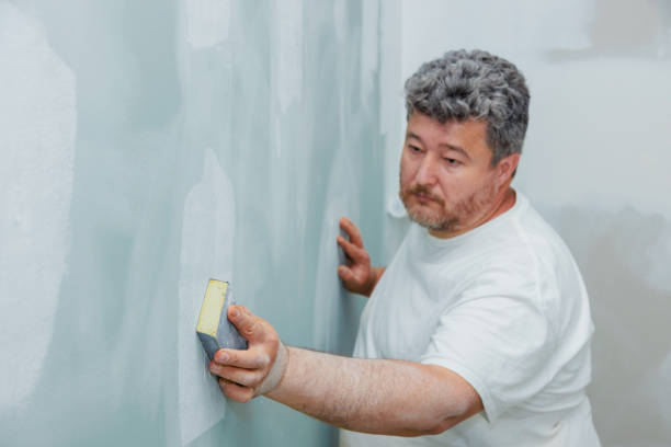 Best Emergency Mold Remediation  in Bay, AR
