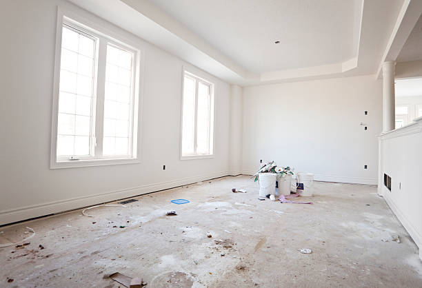 Best Basement Mold Removal  in Bay, AR